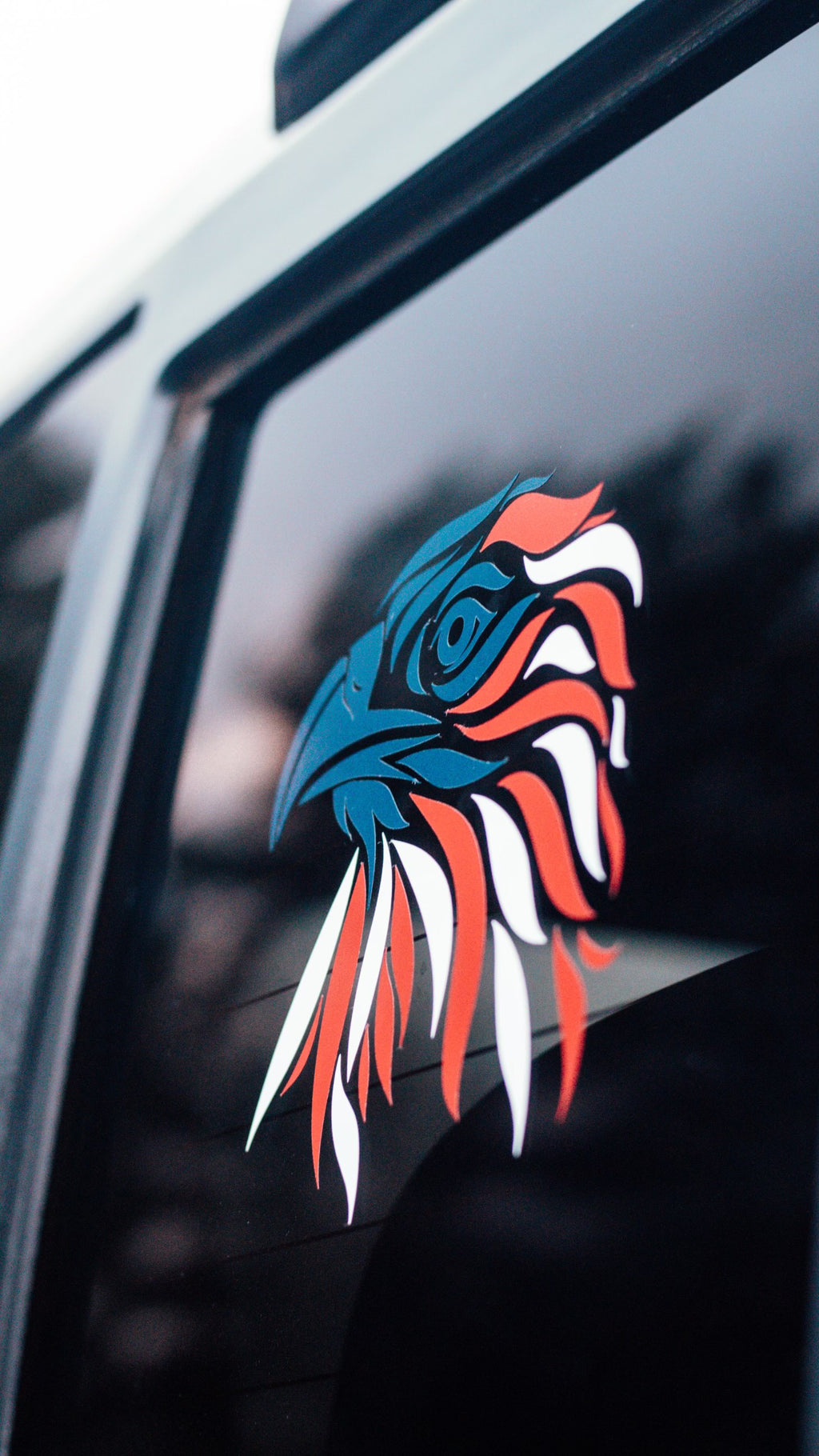 NSS America Eagle Decal